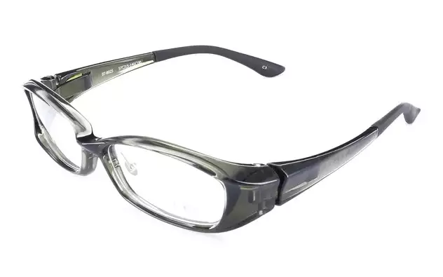 Eyeglasses AIR FIT BT8025  グレー